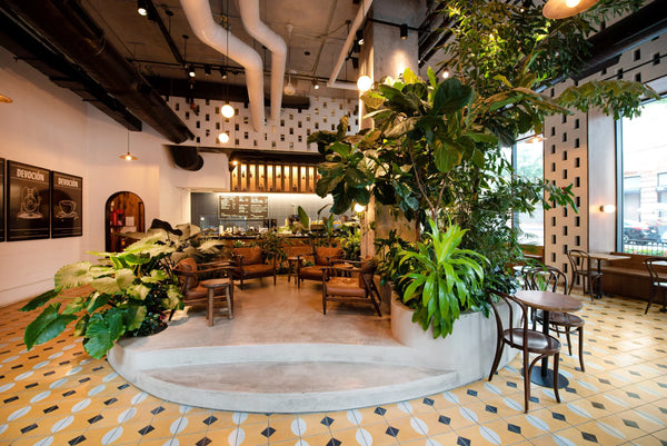 Working Cafés in New York City